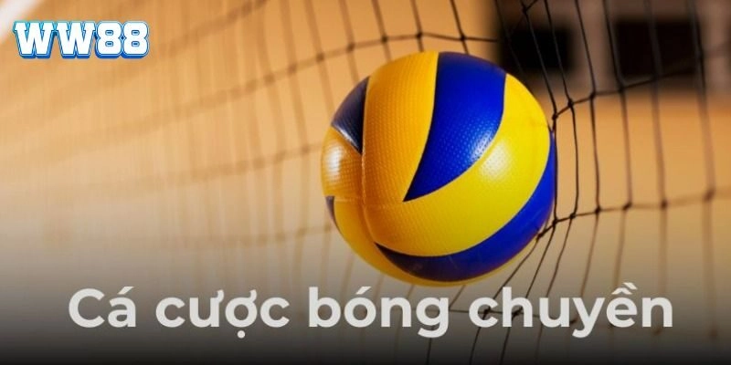 Cá Cược Bóng Chuyền WW88 - Bí Quyết Chinh Phục Kèo Thể Thao Bí quyết bắt kèo cá cược bóng chuyền luôn thắng từ cao thủ