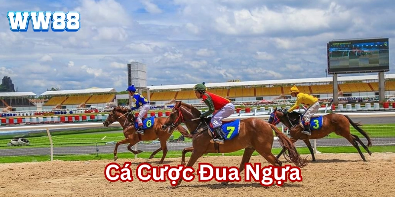 Cá Cược Đua Ngựa - Cơ Hội Bứt Phá Kiếm Tiền Đầy Túi Tại WW88 Cá Cược Đua Ngựa là gì?