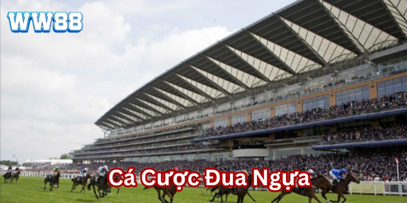Cá Cược Đua Ngựa - Cơ Hội Bứt Phá Kiếm Tiền Đầy Túi Tại WW88 Các loại Cá Cược Đua Ngựa phổ biến