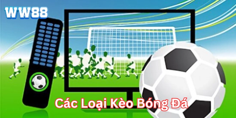 Tất Tần Tật Các Loại Kèo Bóng Đá: Từ Cơ Bản Đến Nâng Cao Các Loại Kèo Bóng Đá cơ bản