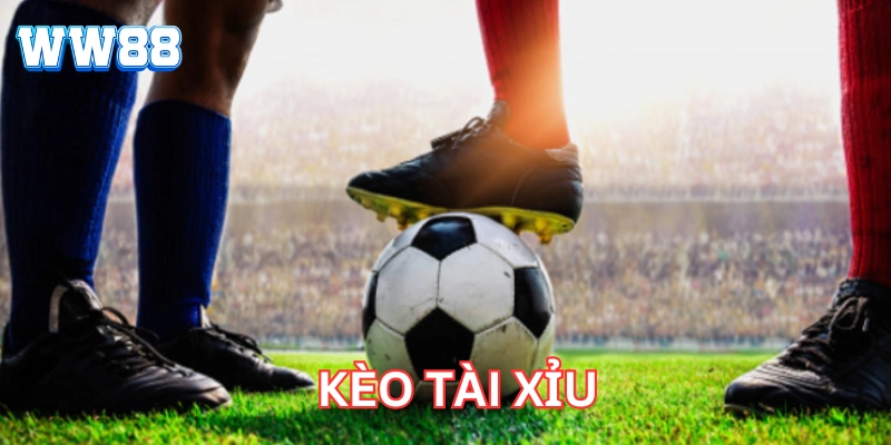 5 Bước Đơn Giản Để Làm Chủ Kèo Tài Xỉu Trong Bóng Đá Kèo Tài Xỉu là gì?