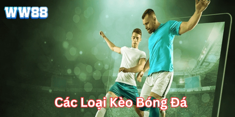 Tất Tần Tật Các Loại Kèo Bóng Đá: Từ Cơ Bản Đến Nâng Cao Tổng quan về Các Loại Kèo Bóng Đá