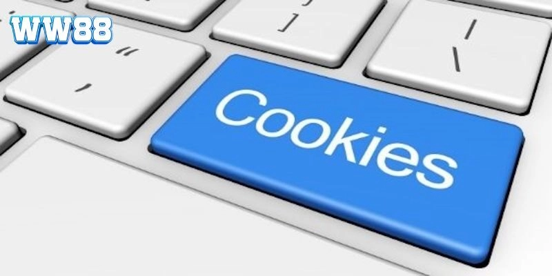Chính Sách Cookie Tại WW88 - Phổ Cập Mọi Thông Tin Cần Biết Lợi ích hấp dẫn mà chính sách cookie mang lại