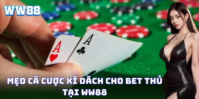 Xì Dách – Bí Kíp Thắng Nhanh, Ăn Trọn Từ Cao Thủ WW88 Chiến thuật đặt cược Xì Dách giúp bạn thắng dễ dàng